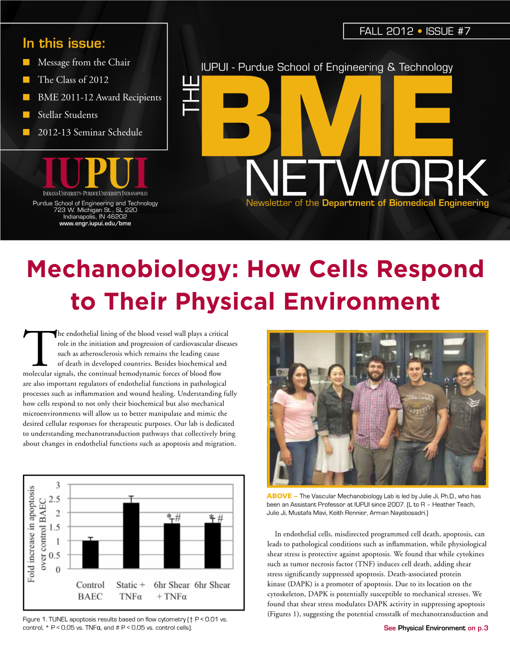 How Cells Respond to Their Physical Environment