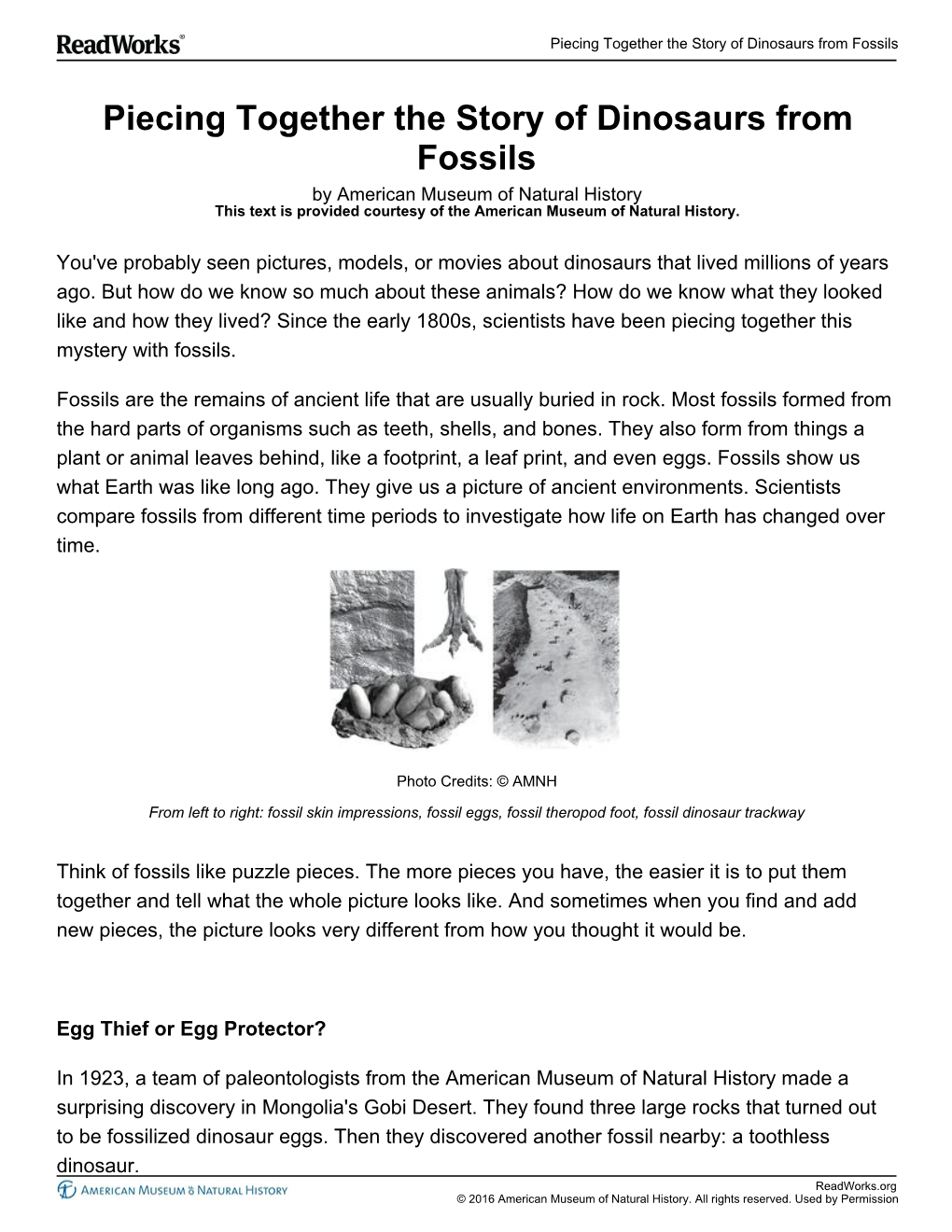 Piecing Together the Story of Dinosaurs from Fossils