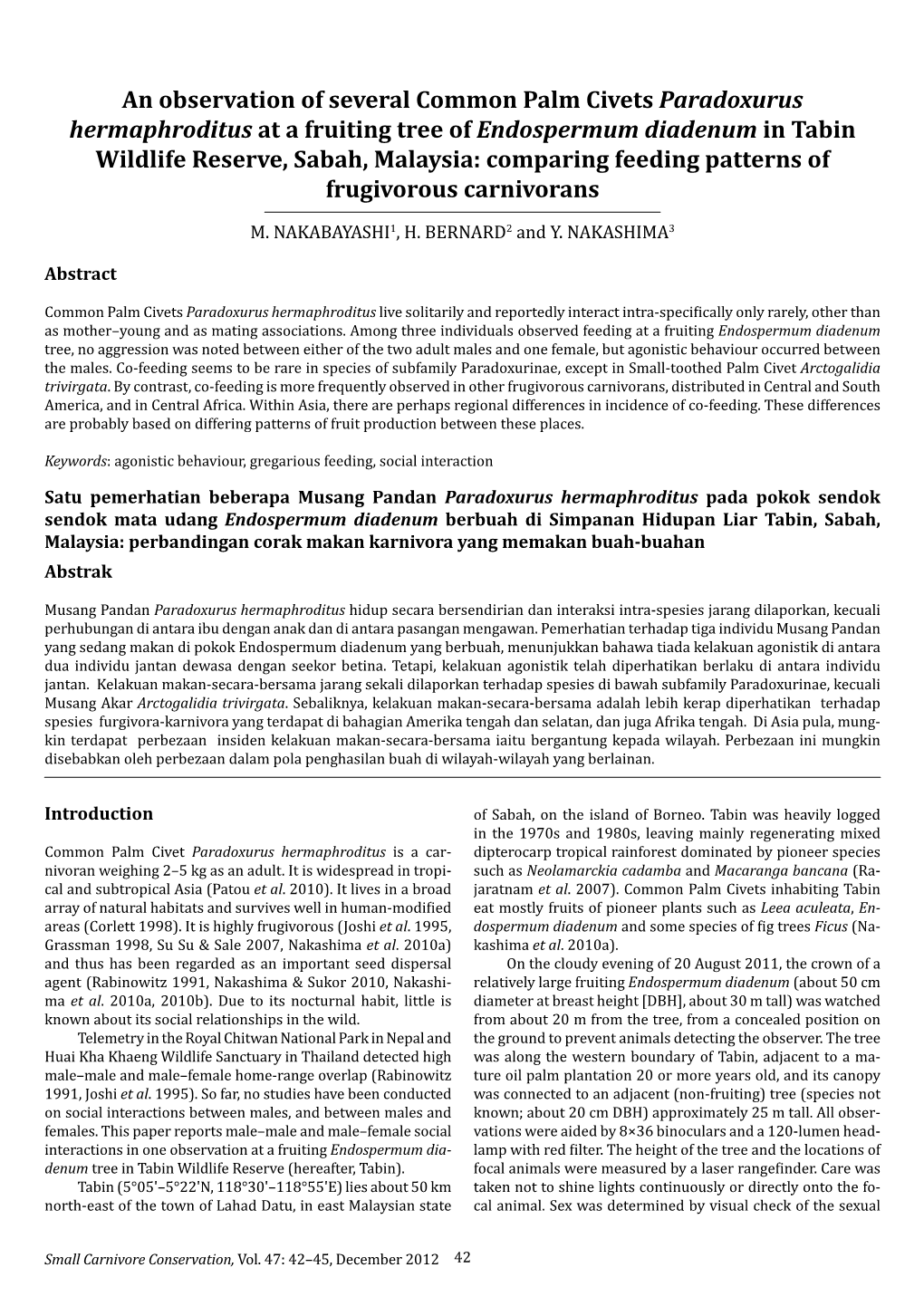 An Observation of Several Common Palm Civets Paradoxurus Hermaphroditus at a Fruiting Tree of Endospermum Diadenum in Tabin Wild