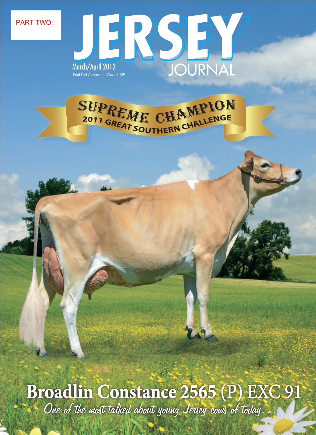 Broadlin Constance 2565 (P) EXC 91 One of the Most Talked About Young Jersey Cows of Today… South Gippsland Jersey Breeders Club 100 YEARS of Jerseyexcellence