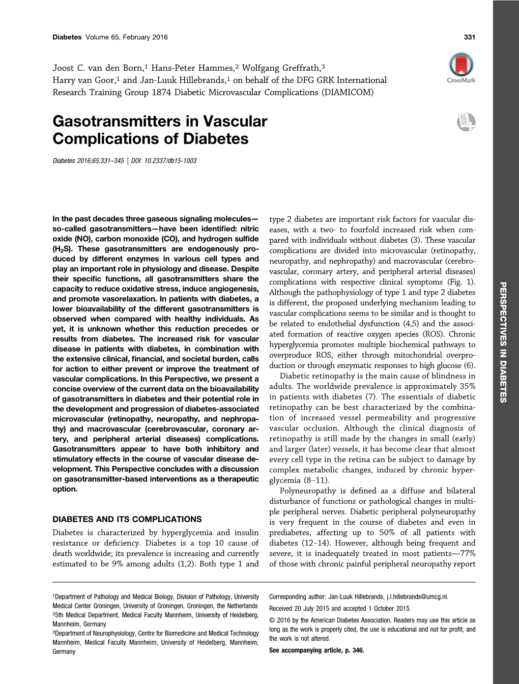 Gasotransmitters in Vascular Complications of Diabetes