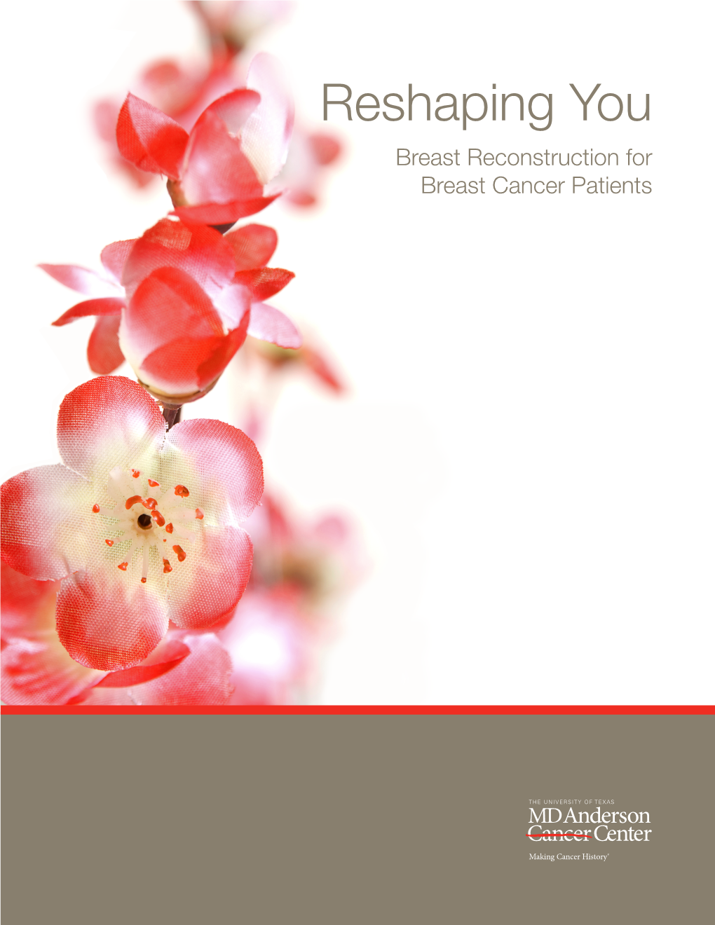 Reshaping You