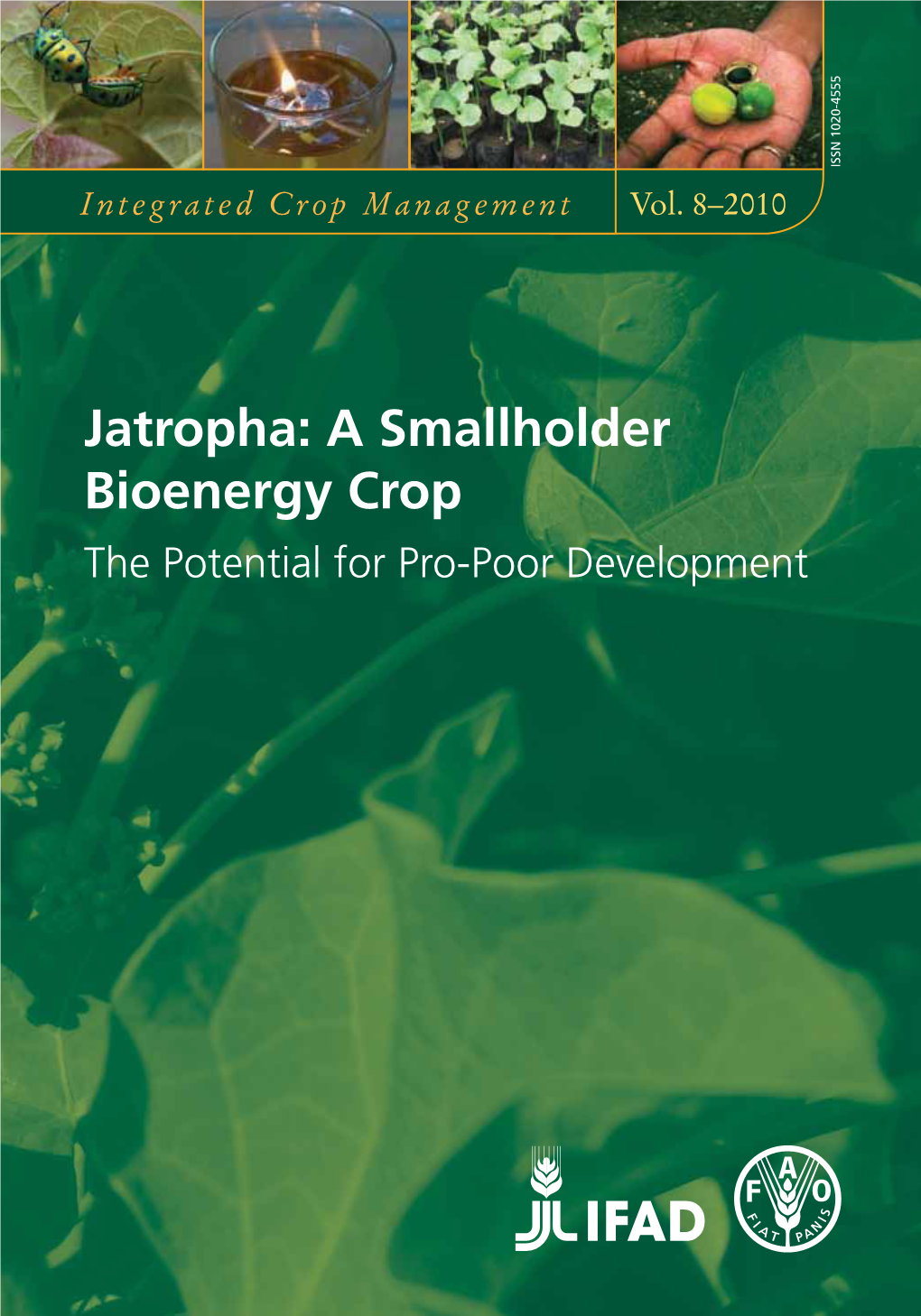 Jatropha: a Smallholder Bioenergy Crop the Potential for Pro-Poor Development Integrated Crop Management Vol