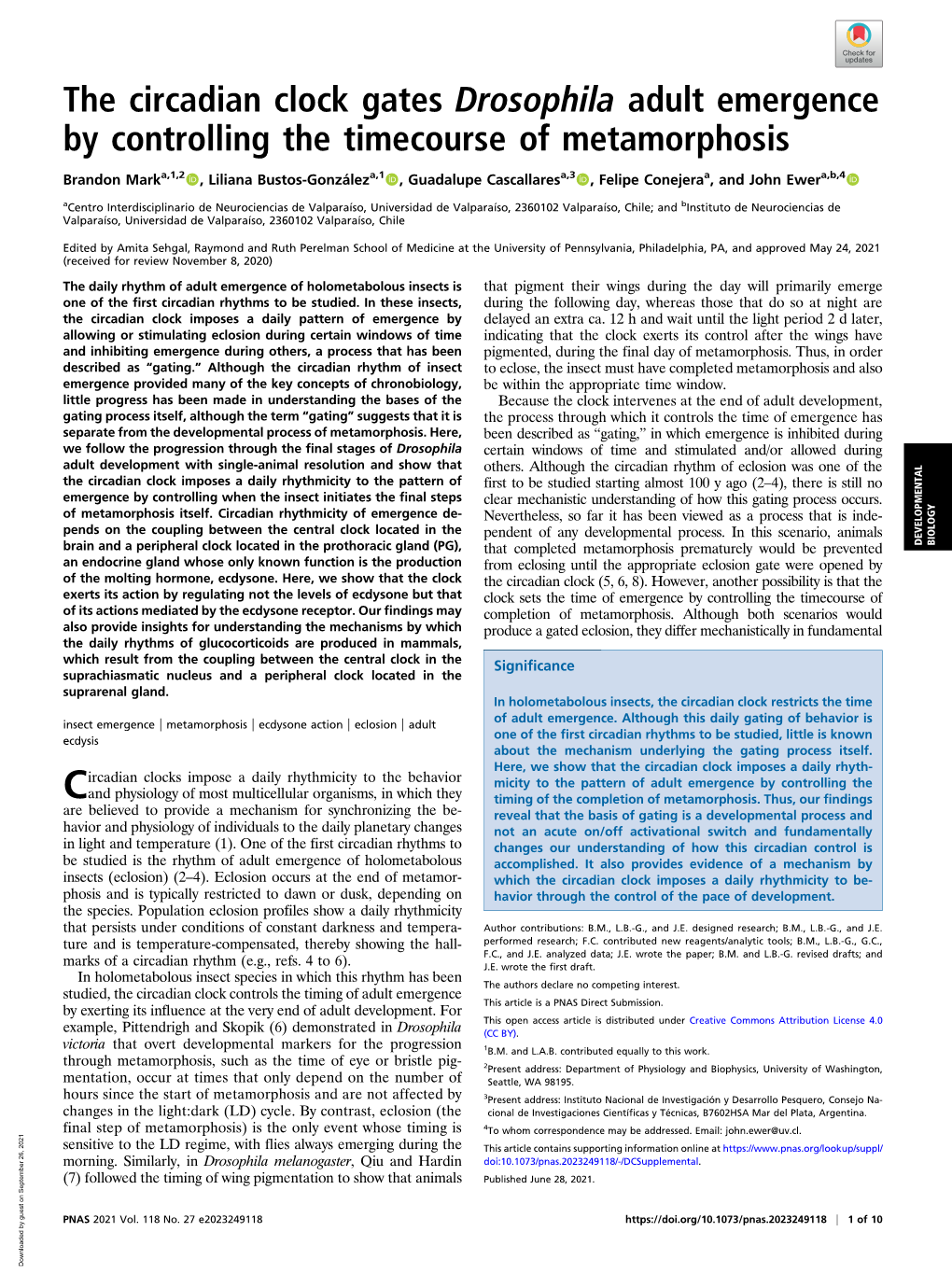 The Circadian Clock Gates Drosophila Adult Emergence by Controlling the Timecourse of Metamorphosis