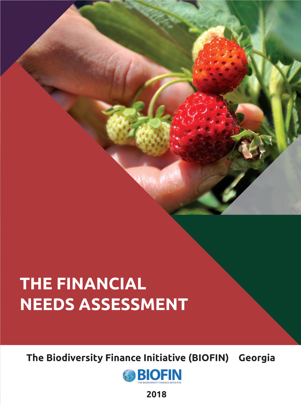 The Financial Needs Assessment (FNA)
