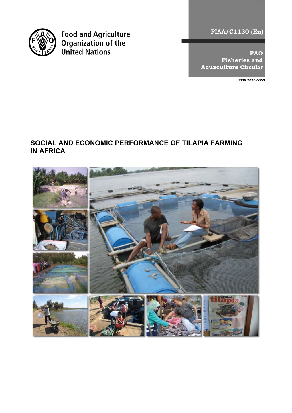 SOCIAL and ECONOMIC PERFORMANCE of TILAPIA FARMING in AFRICA Main Photo: Interviewing a Small-Scale Cage Farmer on Lake Volta, Ghana (Courtesy of G