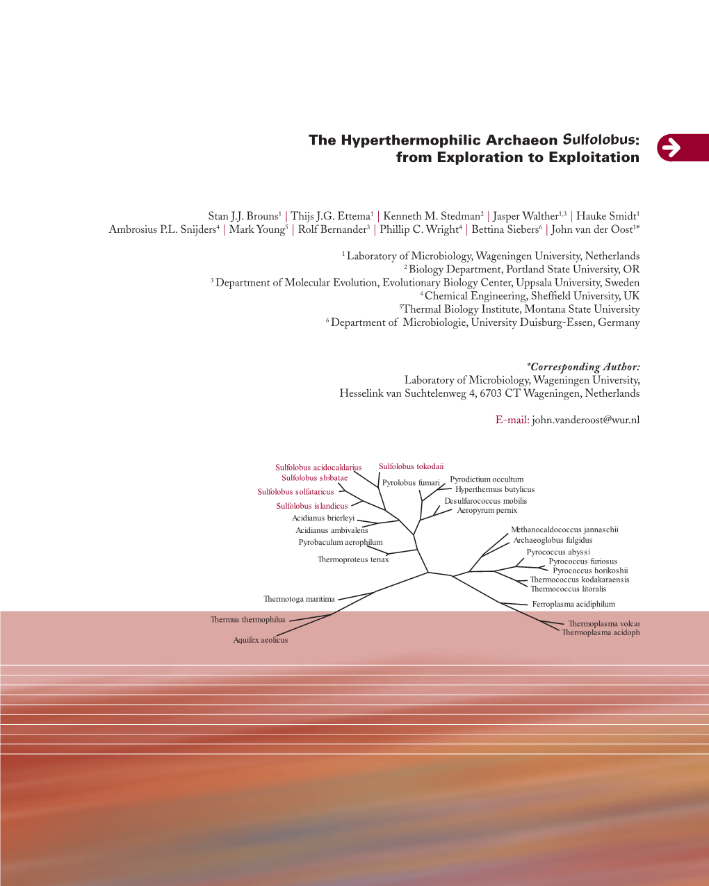 The Hyperthermophilic Archaeon Sulfolobus:From Exploration To