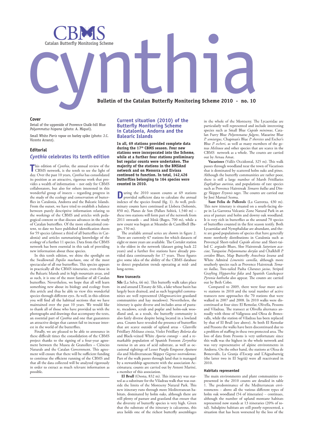 Cynthia Celebrates Its Tenth Edition Current Situation (2010) of The