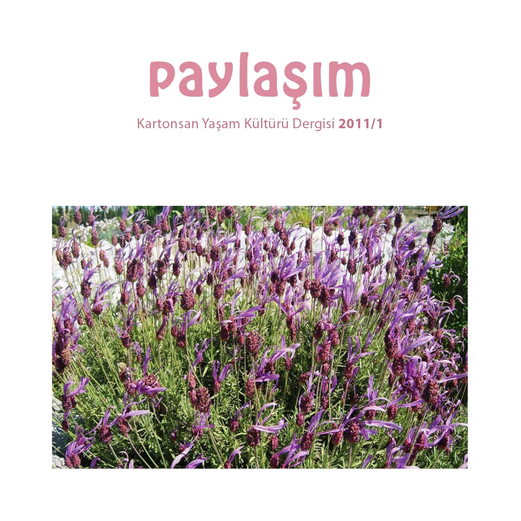 Paylaşım 2011/1