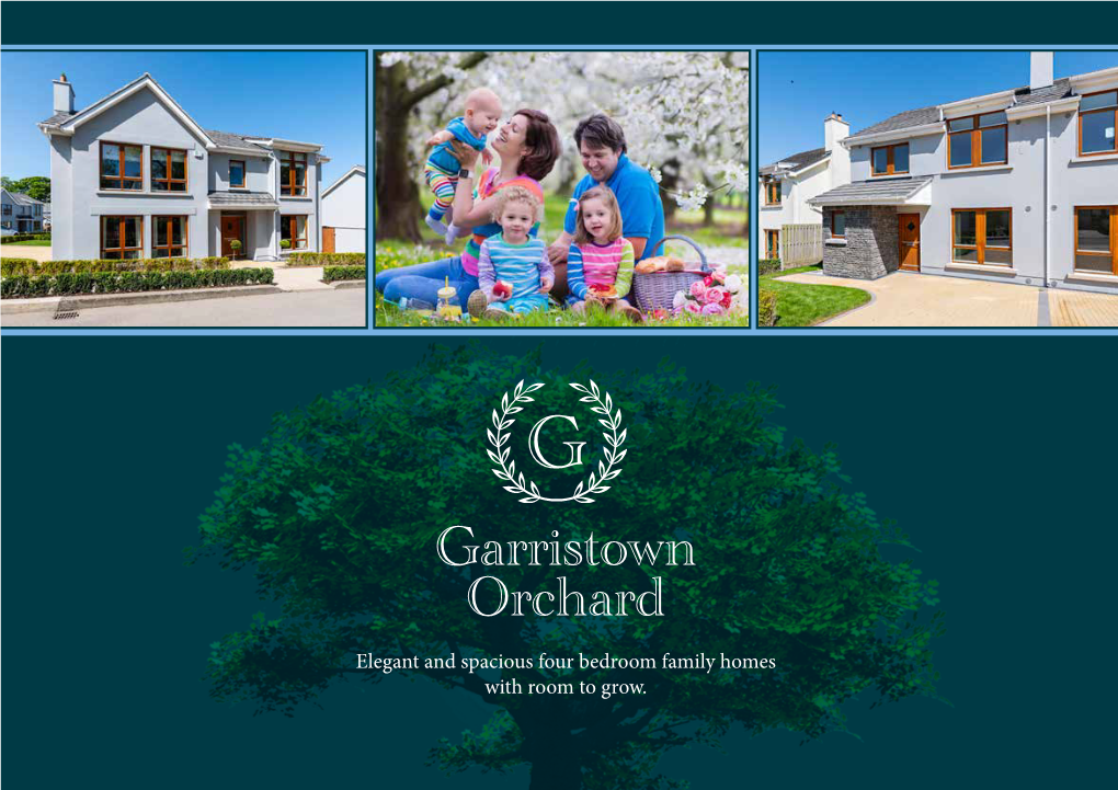 Garristown Orchard