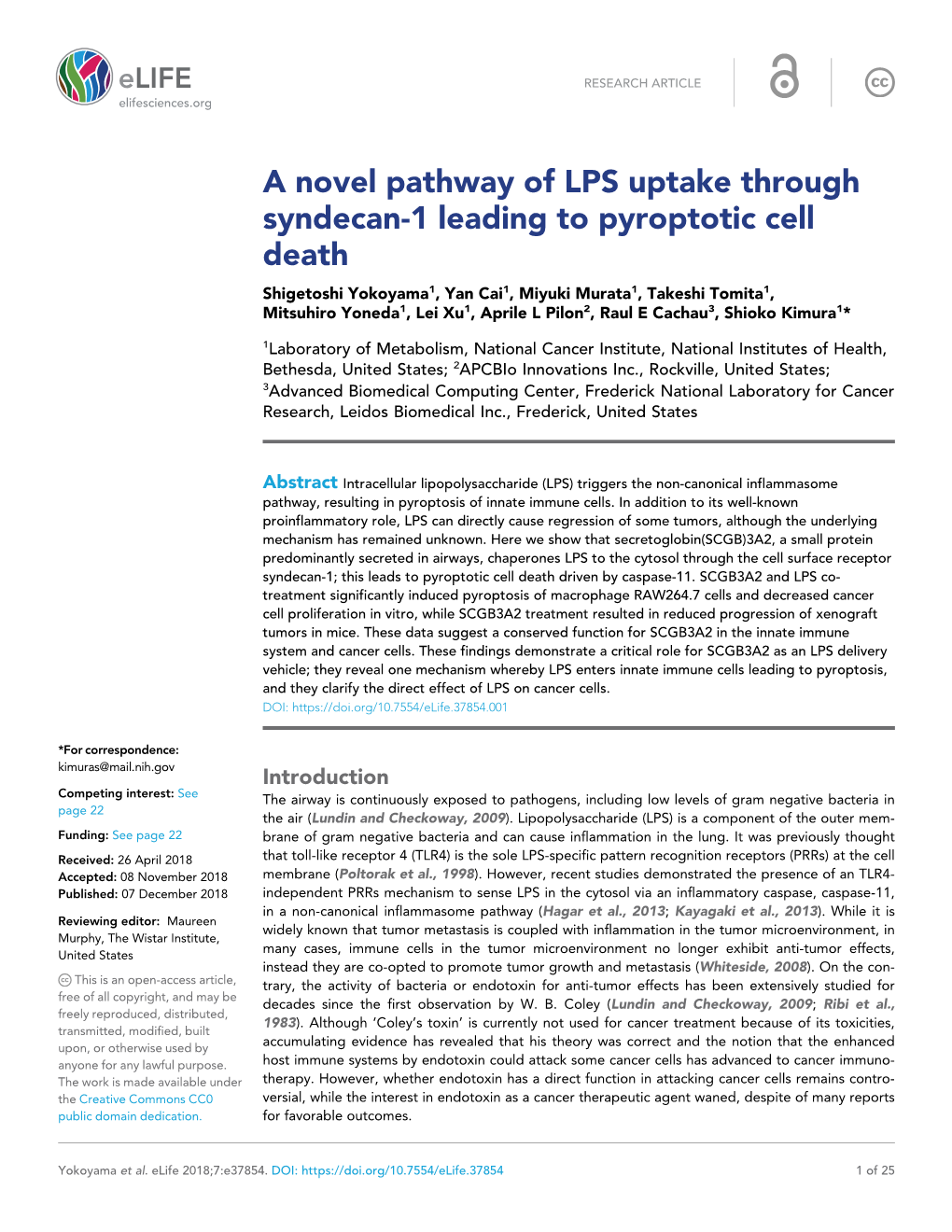 A Novel Pathway of LPS Uptake Through Syndecan-1 Leading To