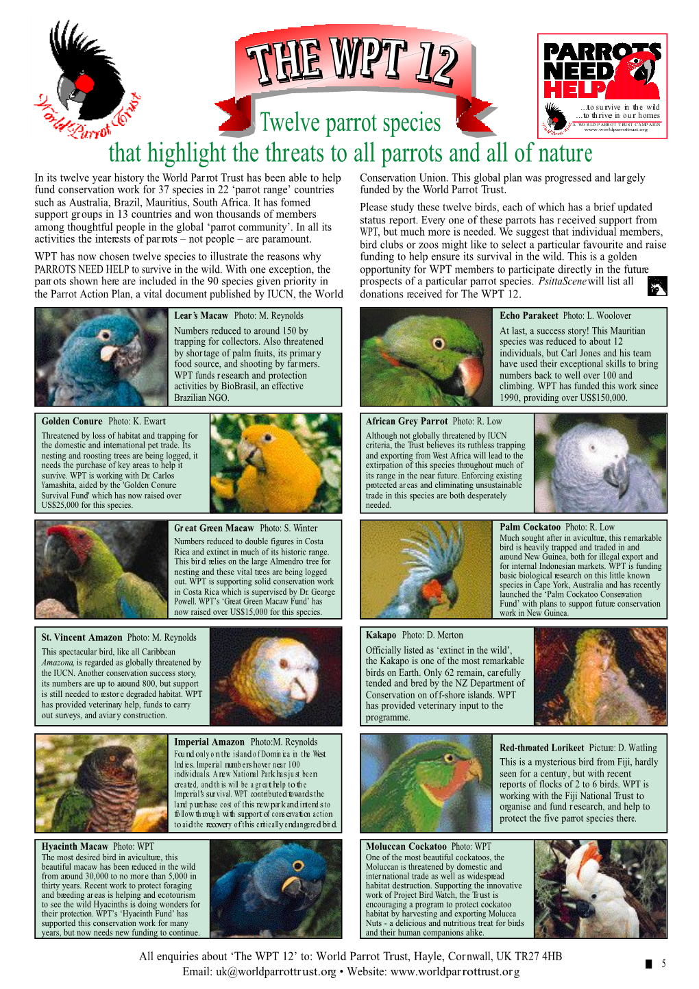 Twelve Parrot Species That Highlight the Threats to All Parrots and All Of