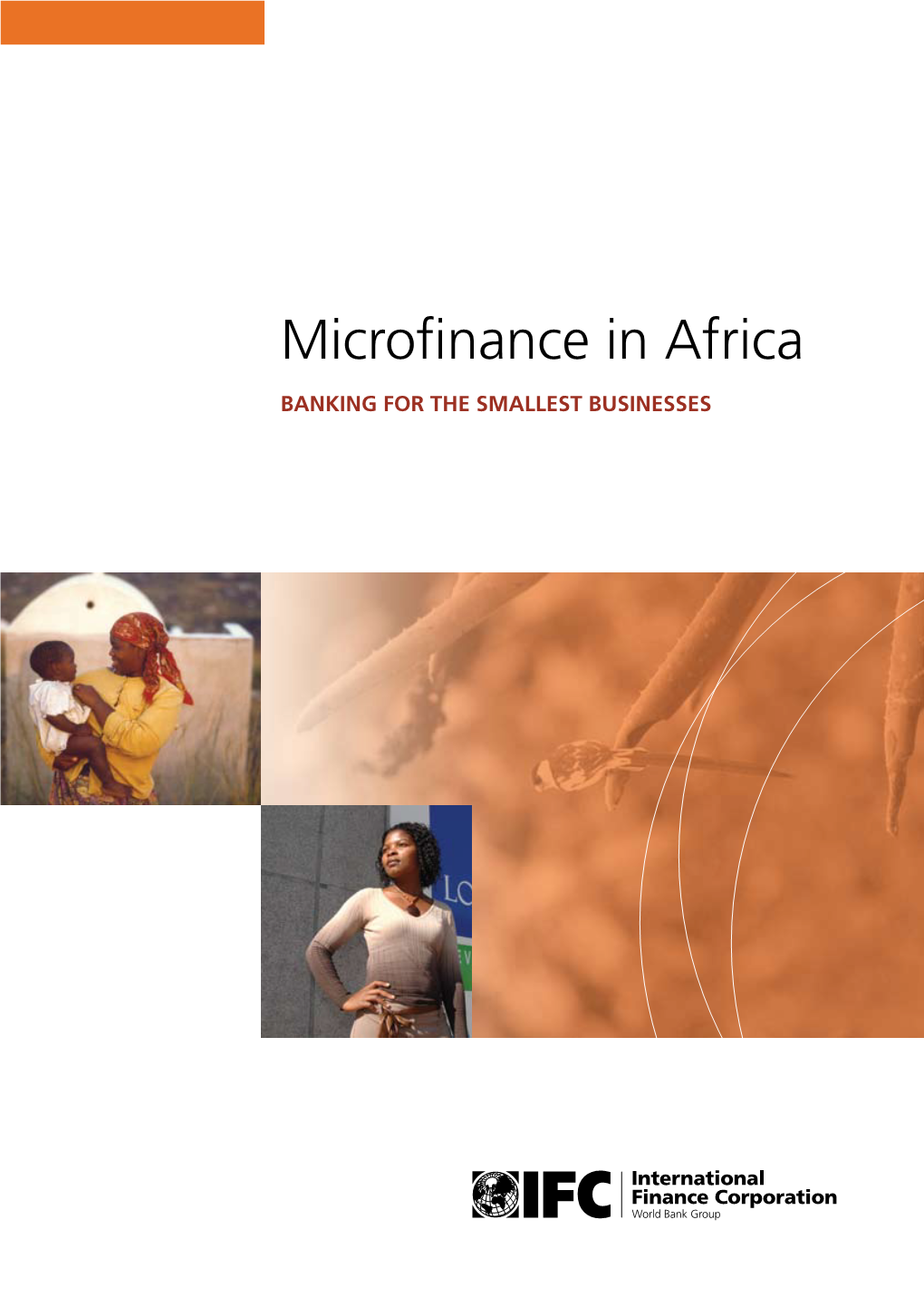 Microfinance in Africa
