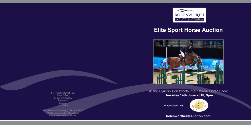 Elite Sport Horse Auction
