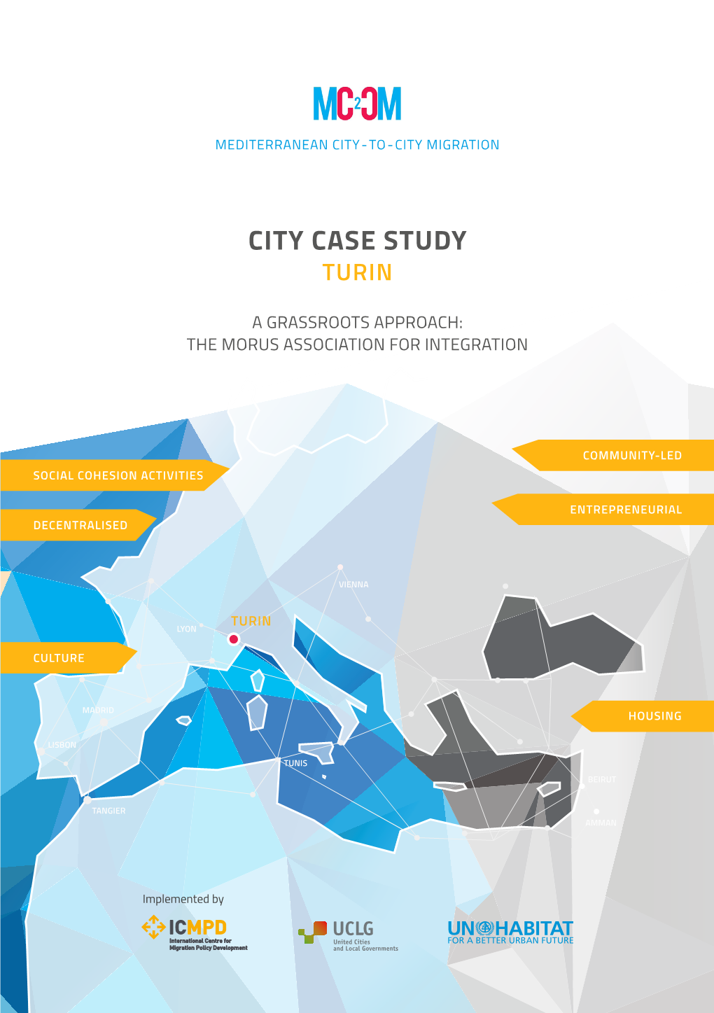 City Case Study Turin