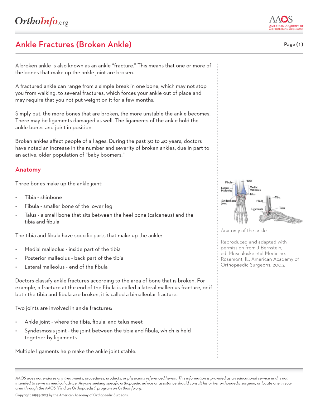 Org Ankle Fractures (Broken Ankle)