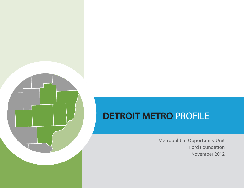 Detroit Metro Profile, 2012