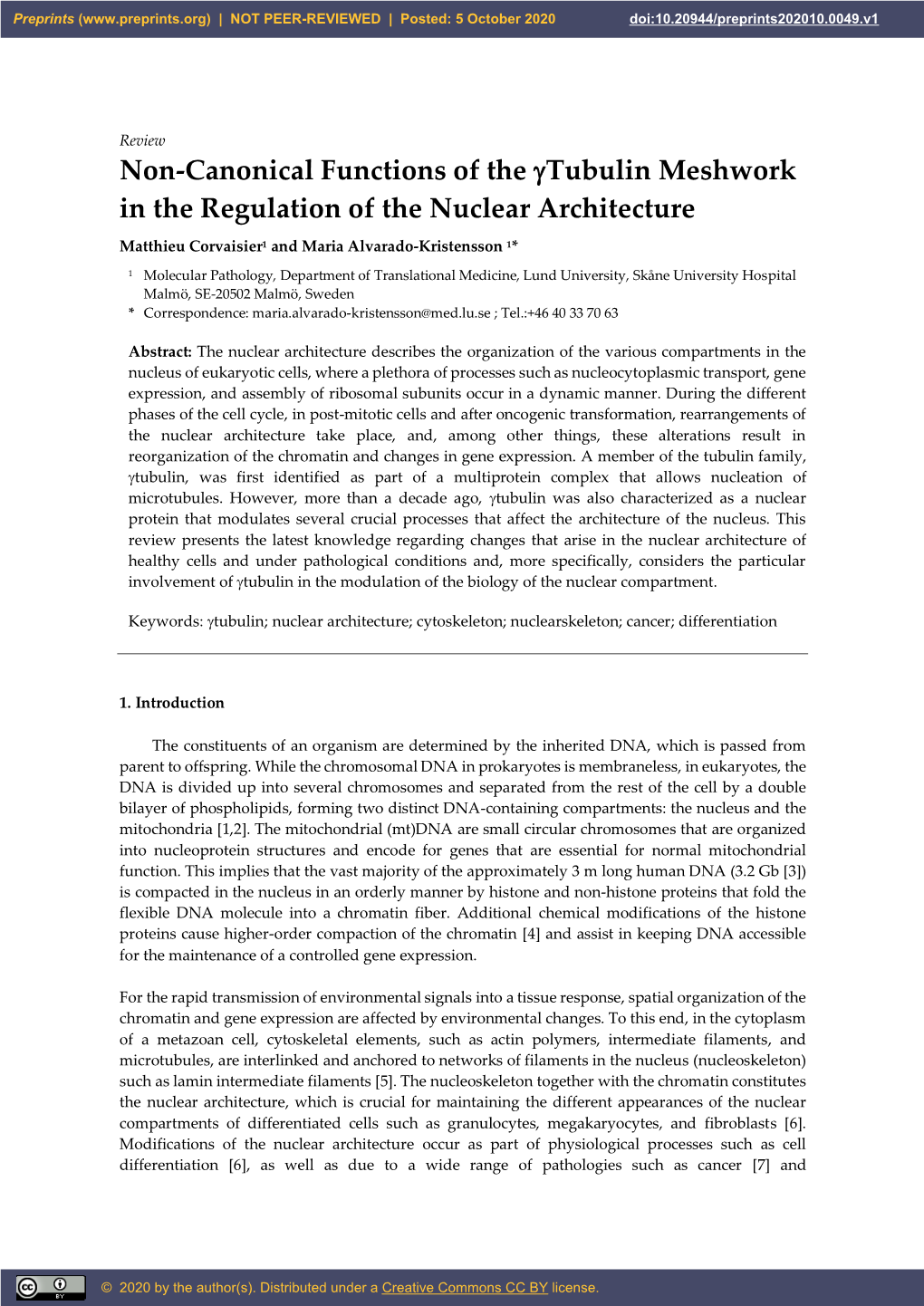 Non-Canonical Functions of the Γtubulin Meshwork in the Regulation of the Nuclear Architecture