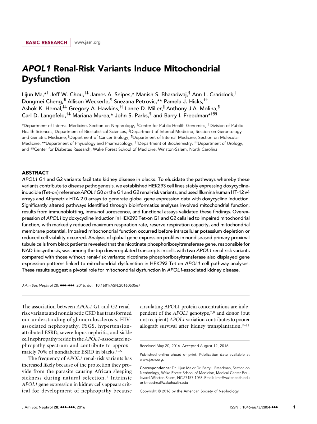 APOL1 Renal-Risk Variants Induce Mitochondrial Dysfunction