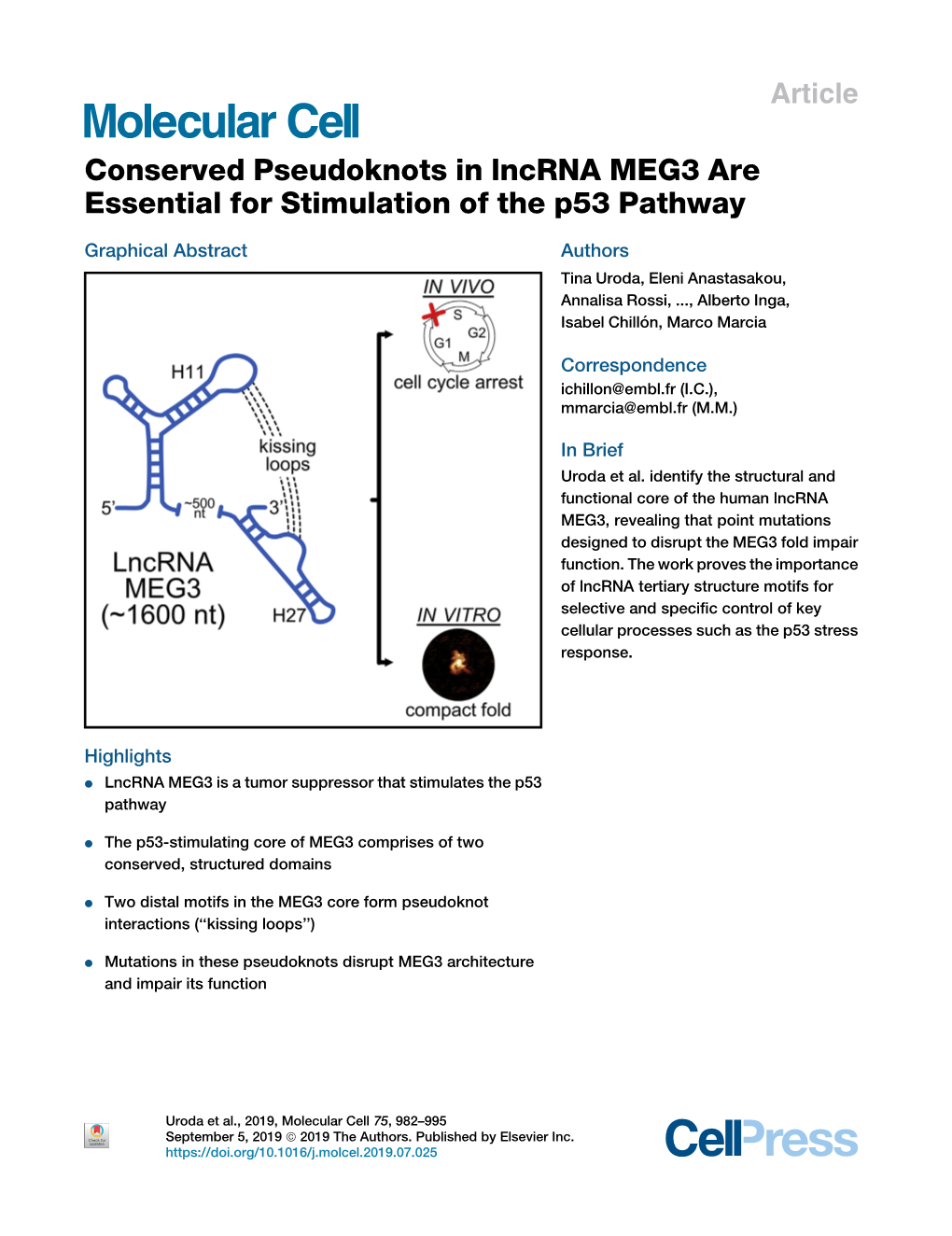 Conserved Pseudoknots in Lncrna MEG3 Are Essential for Stimulation of the P53 Pathway