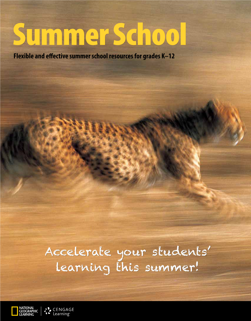 Accelerate Your Students' Learning This Summer!