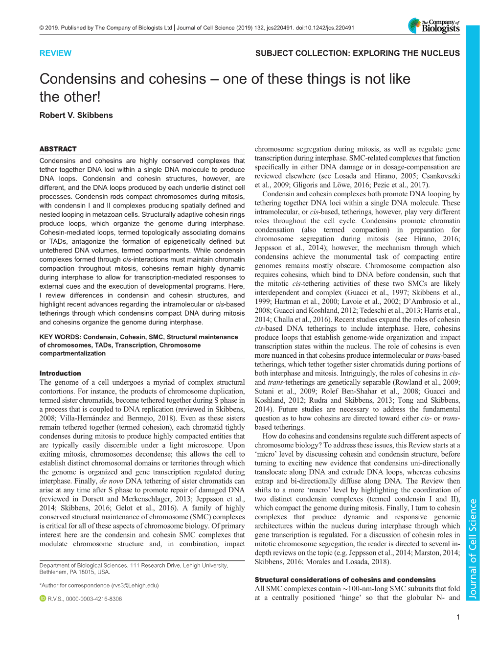 Condensins and Cohesins – One of These Things Is Not Like the Other! Robert V