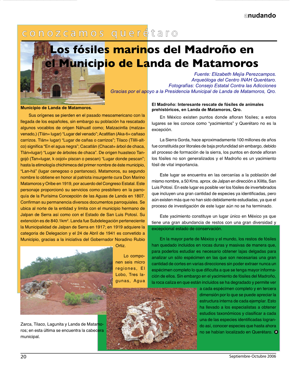 Los Fósiles Marinos Del Madroño En El Municipio De Landa De Matamoros Fuente: Elizabeth Mejía Perezcampos