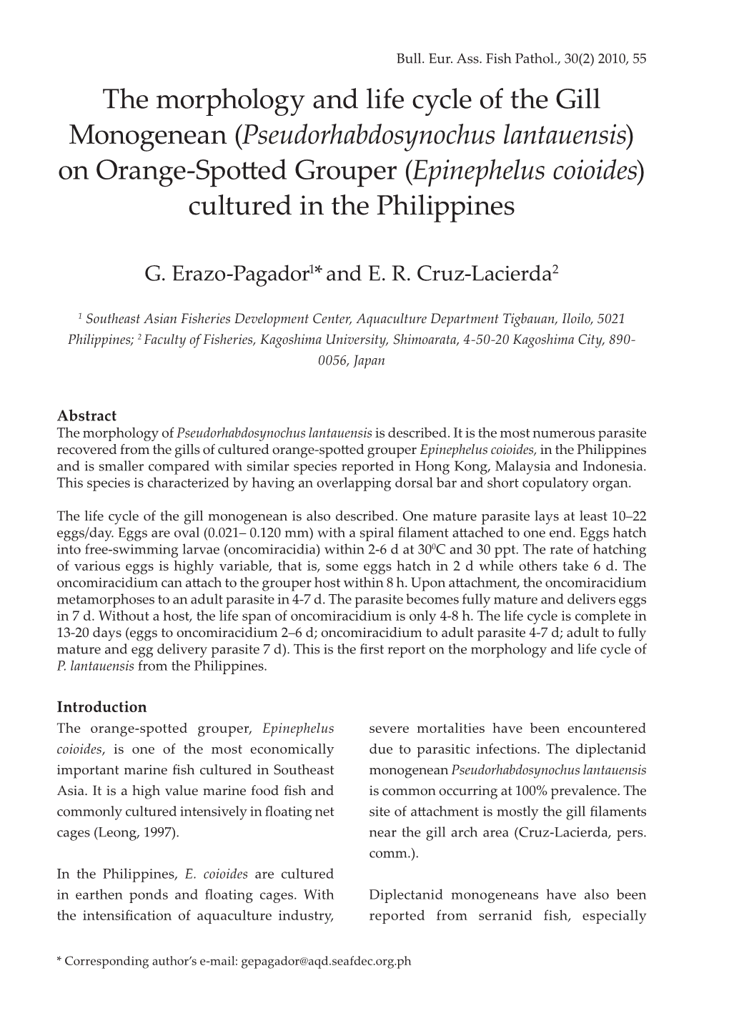 The Morphology and Life Cycle of the Gill Monogenean (Pseudorhabdosynochus Lantauensis) on Orange-Spo�Ed Grouper (Epinephelus Coioides) Cultured in the Philippines