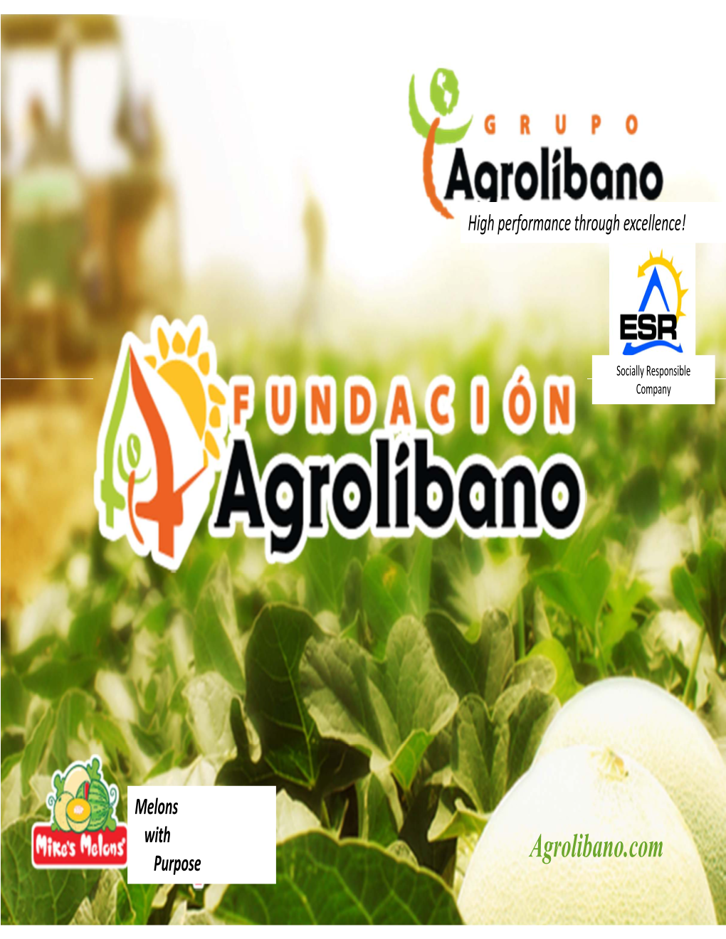 Agrolibano.Com Purpose Board Agrolibano Foundation 2013 ‐ 2015