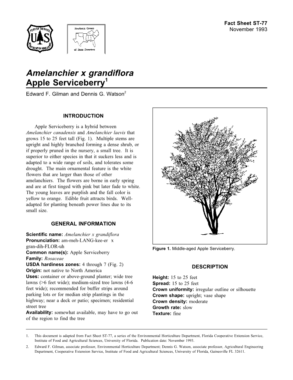 Amelanchier X Grandiflora Apple Serviceberry1 Edward F