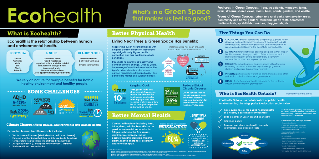 Ecohealth Multi-Use Trails, Sportsfields, Beaches, Playgrounds, Etc