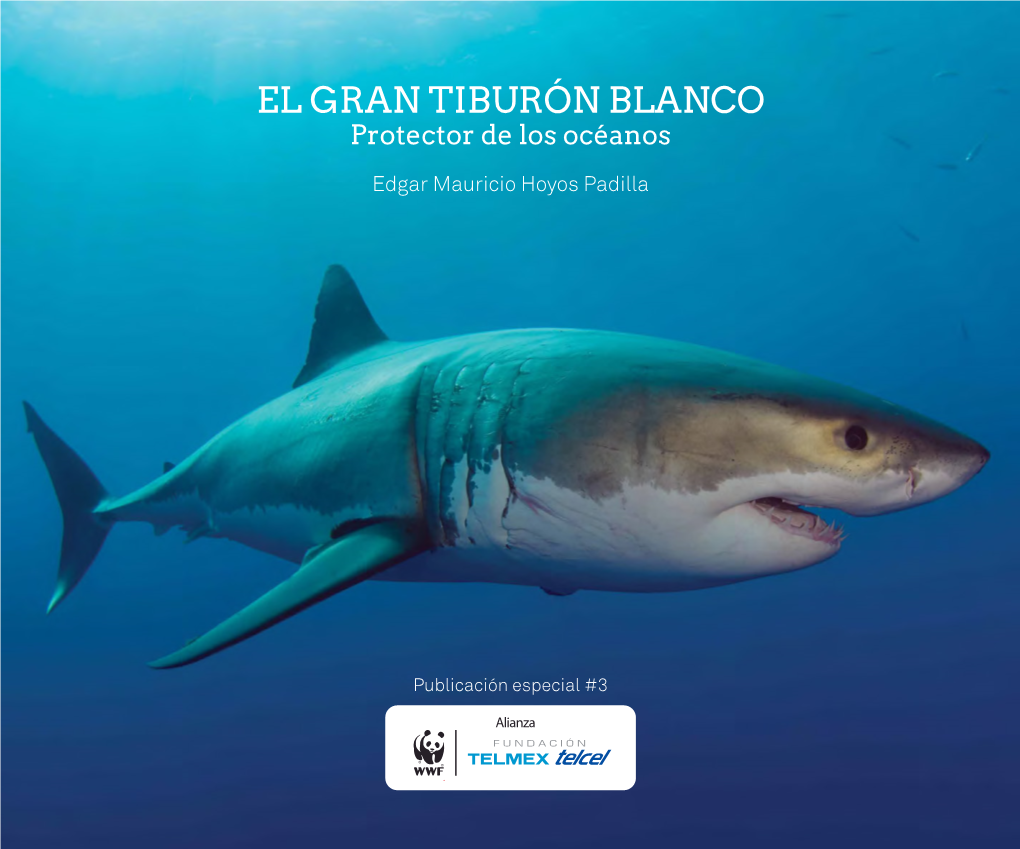 EL GRAN TIBURÓN BLANCO Protector De Los Océanos