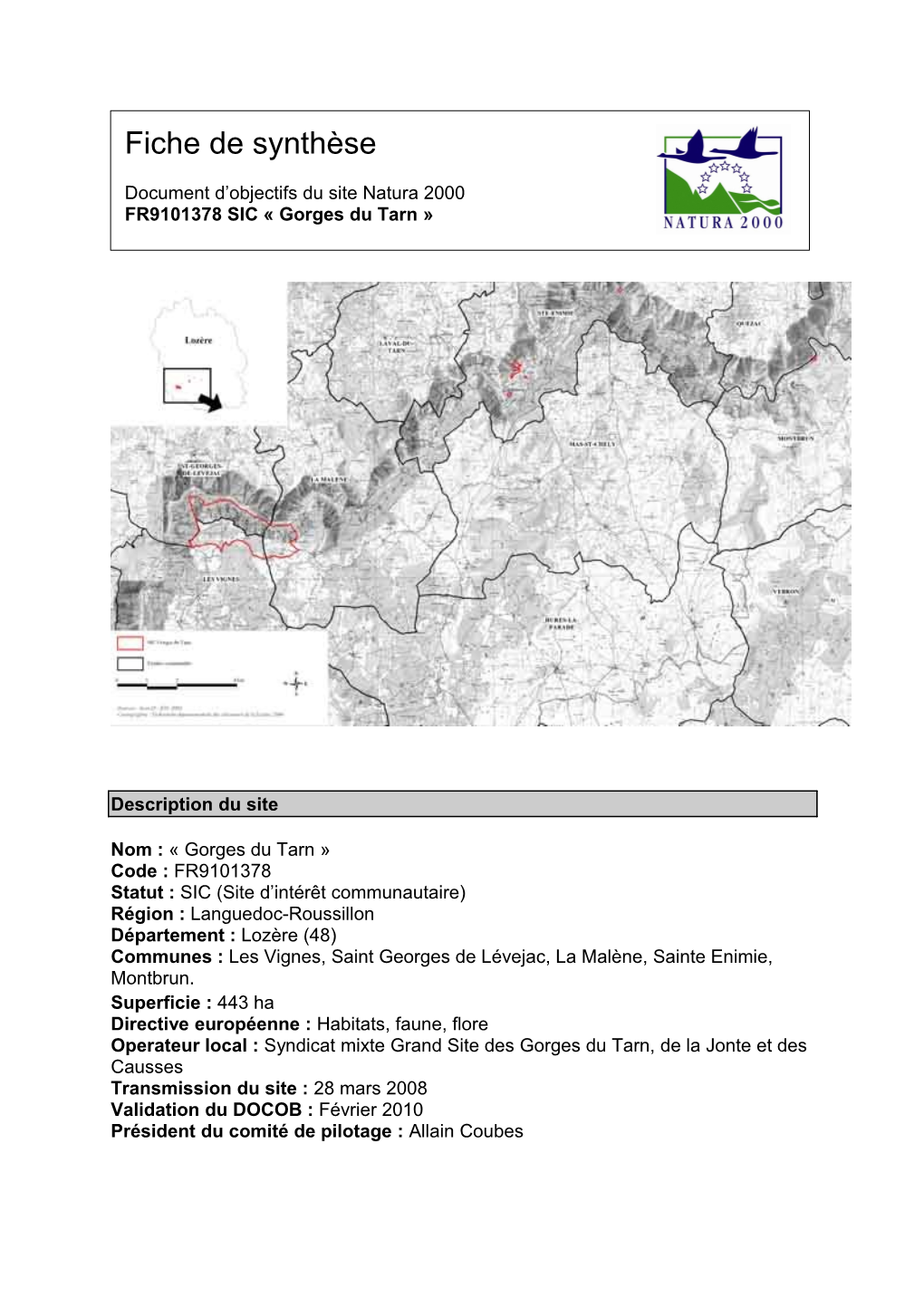 Fiche De Synthèse