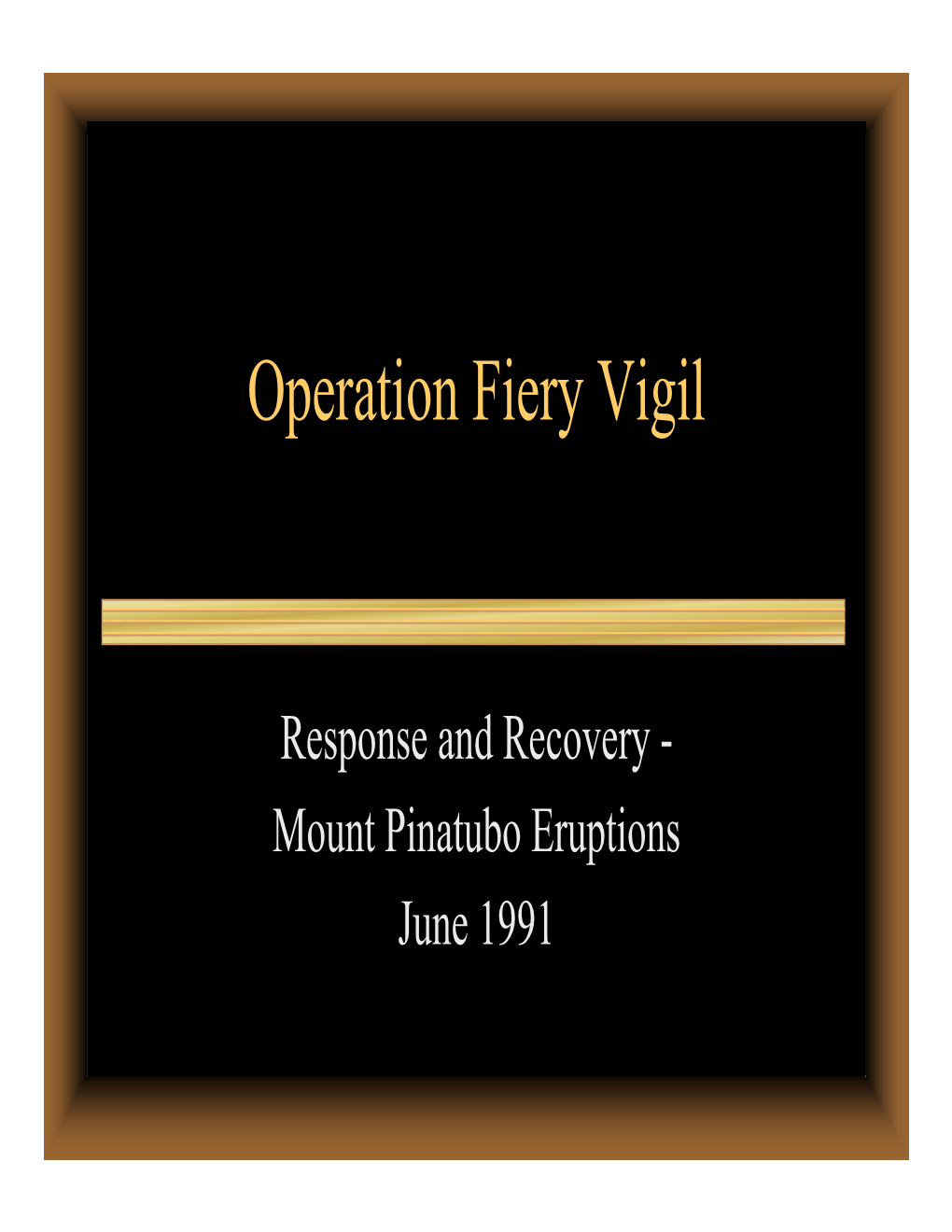 Operation Fiery Vigil