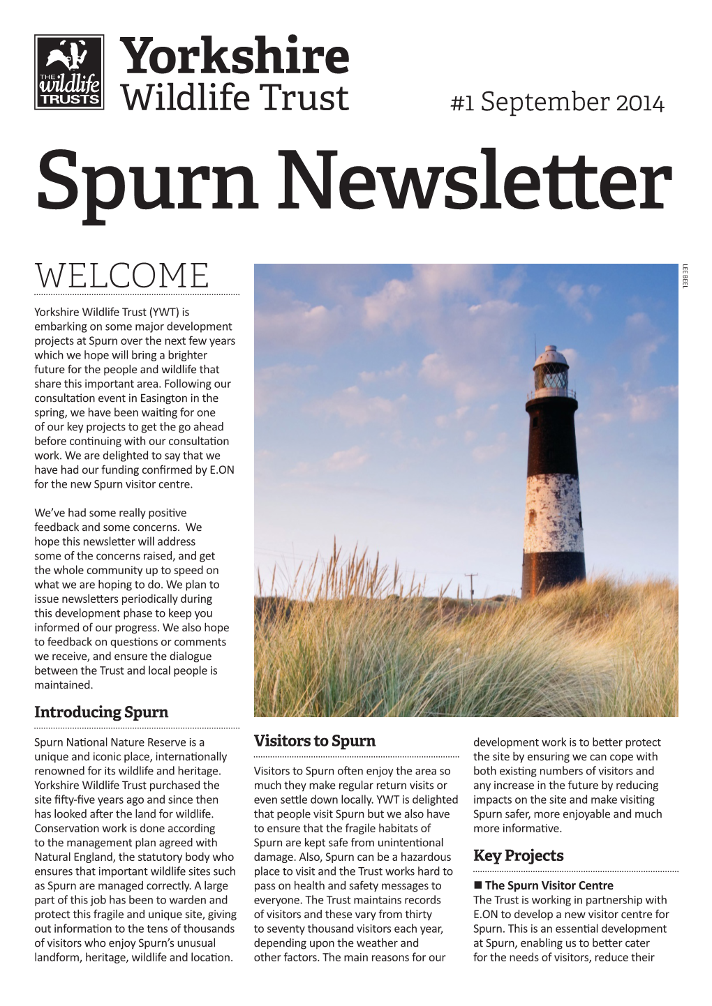 Spurn Newsletter