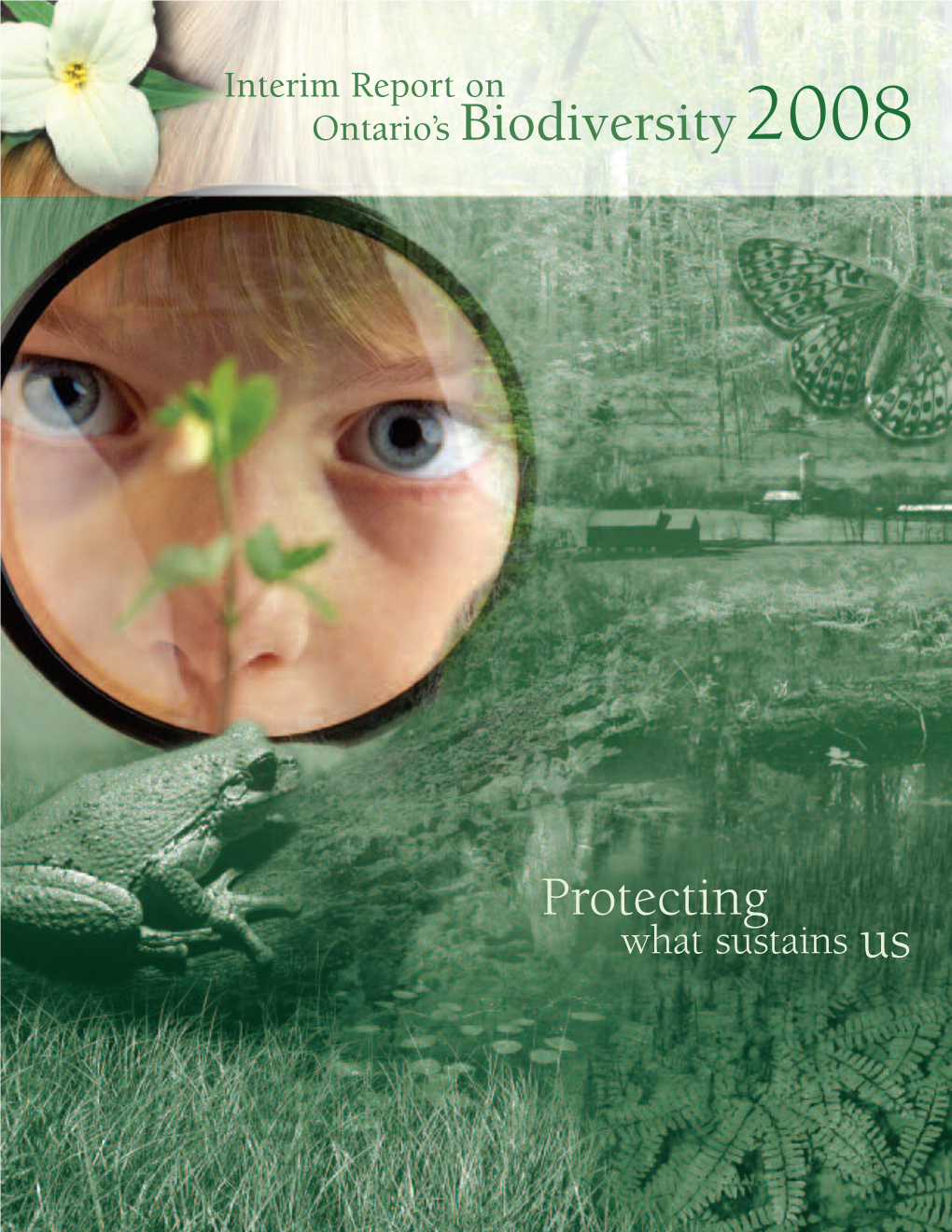 Interim Report on Ontario's Biodiversity 2008