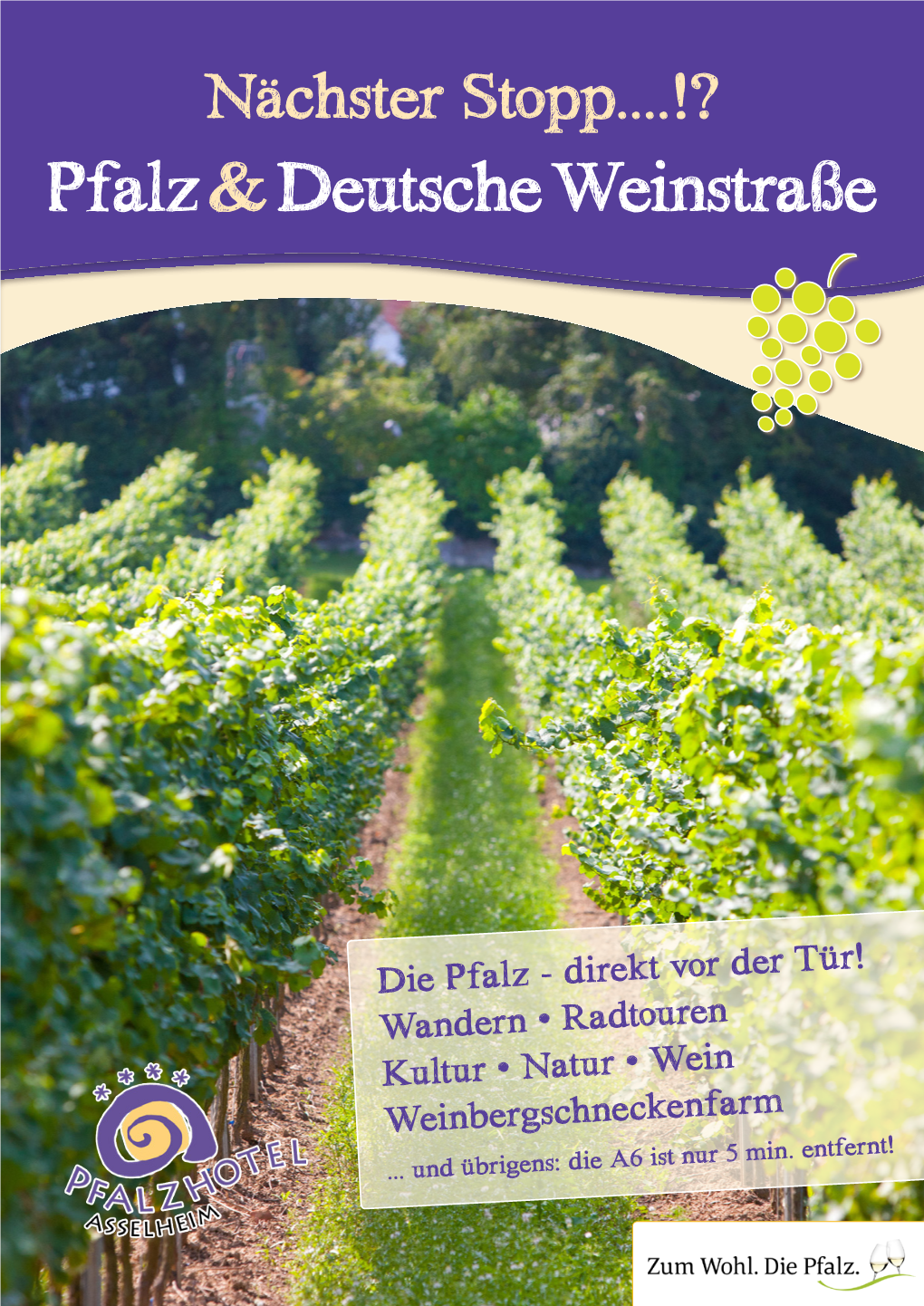 Pfalz &Deutsche Weinstraße