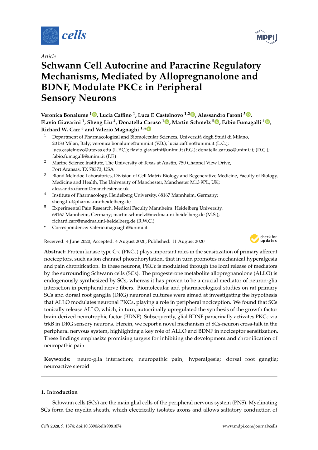 Schwann Cell Autocrine and Paracrine Regulatory Mechanisms, Mediated by Allopregnanolone and BDNF, Modulate Pkcε in Peripheral Sensory Neurons