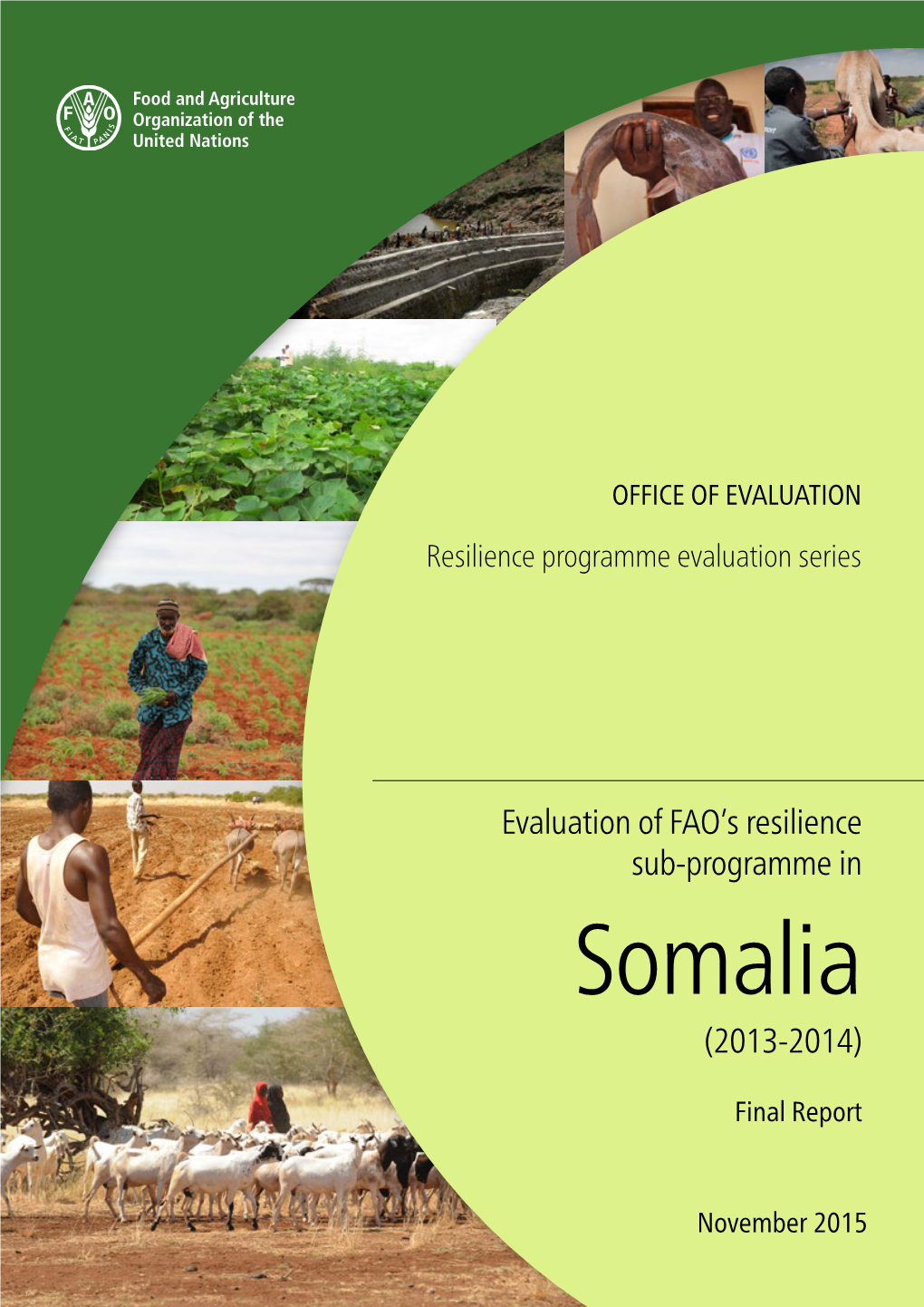 Evaluation of FAO's Resilience Sub-Programme in Somalia 2013