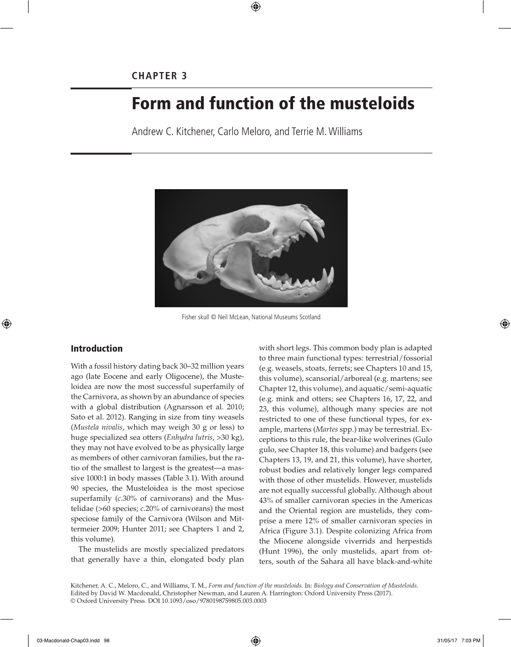 Form and Function of the Musteloids