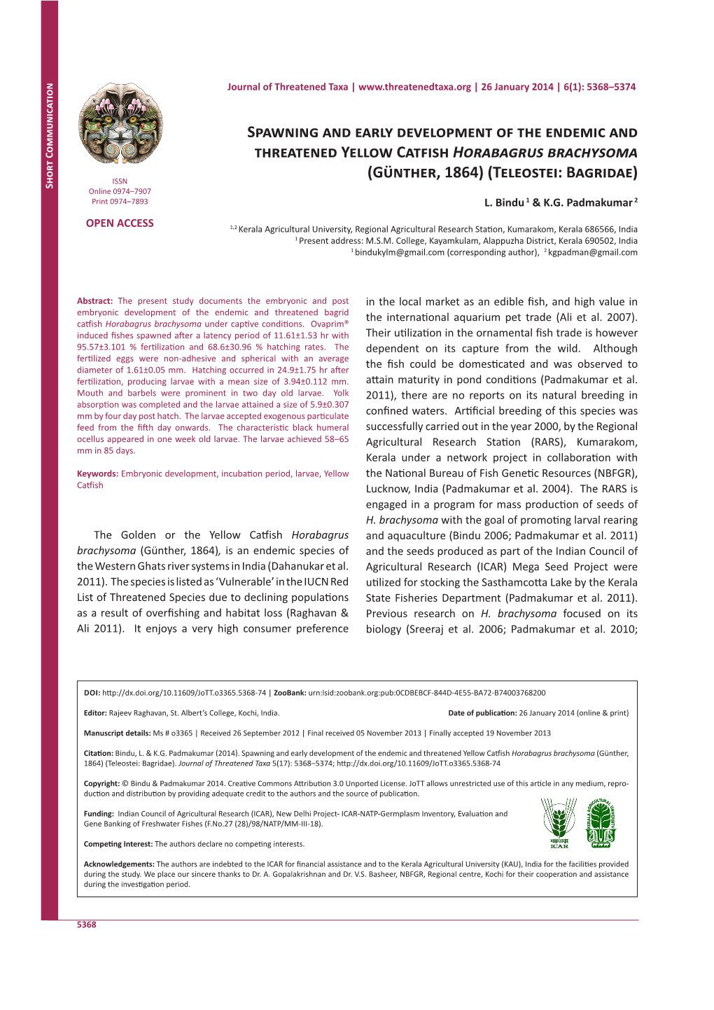 Spawning and Early Development of the Endemic and Threatened Yellow Catfish Horabagrus Brachysoma