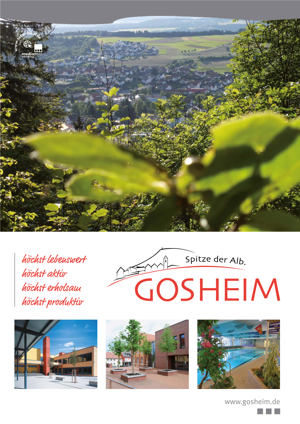 Informationsbroschüre Gosheim