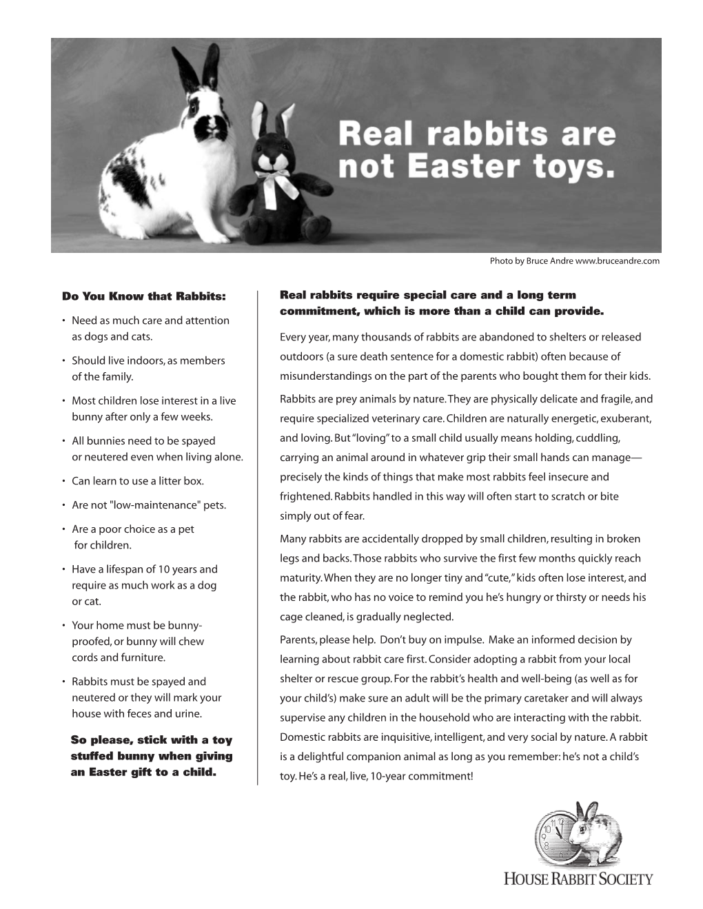 Real Rabbits Require Special Care and a Long Term Commitment, Which Is More Than a Child Can Provide