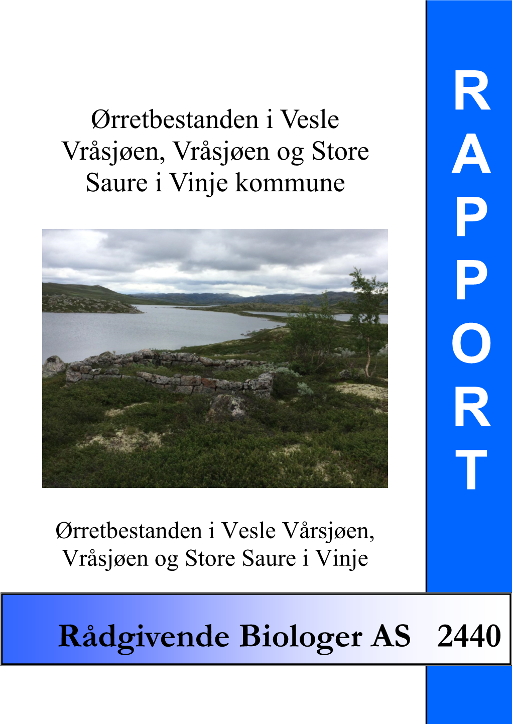 Ørretbestanden I Vesle Vårsjøen, Vråsjøen Og Store Saure I Vinje Kommune