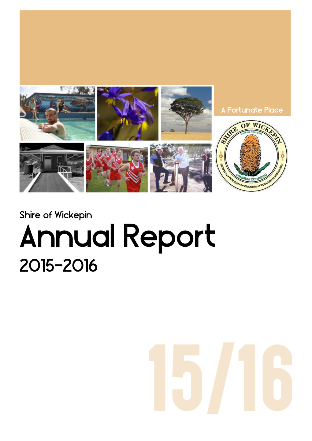 Annual Report 2015/2016