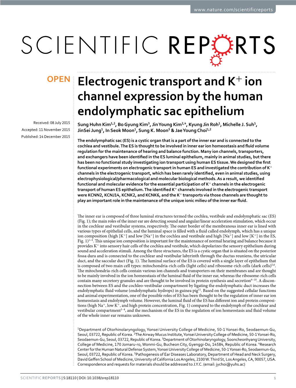 Electrogenic Transport and K+ Ion Channel Expression by the Human Endolymphatic Sac Epithelium