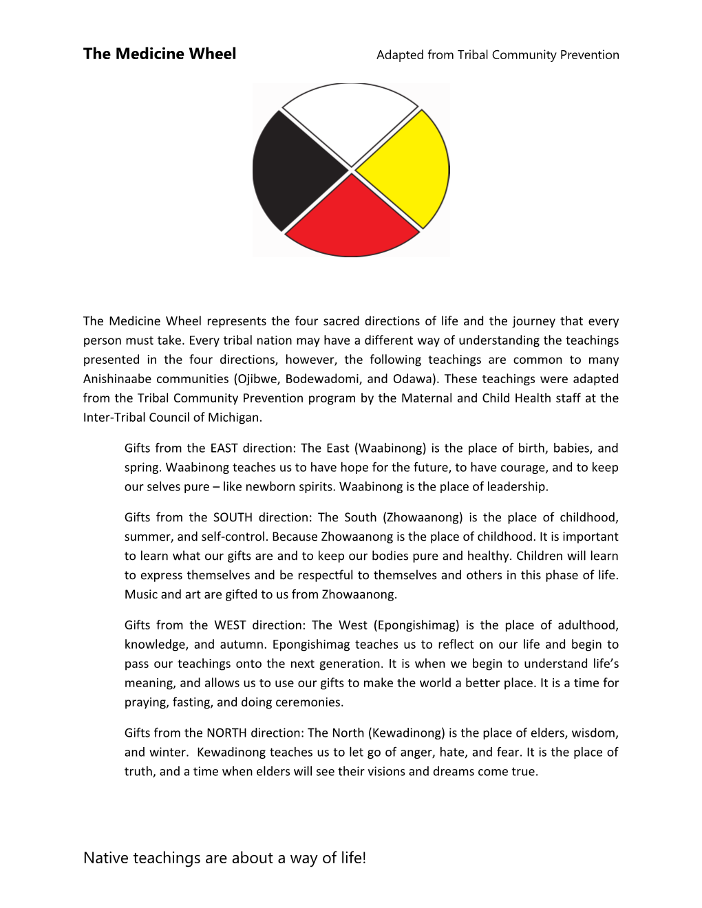 The Medicine Wheel Adapted from Tribal Community Prevention