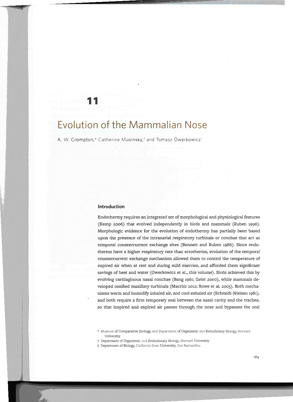 11 Evolution of the Mammalian Nose