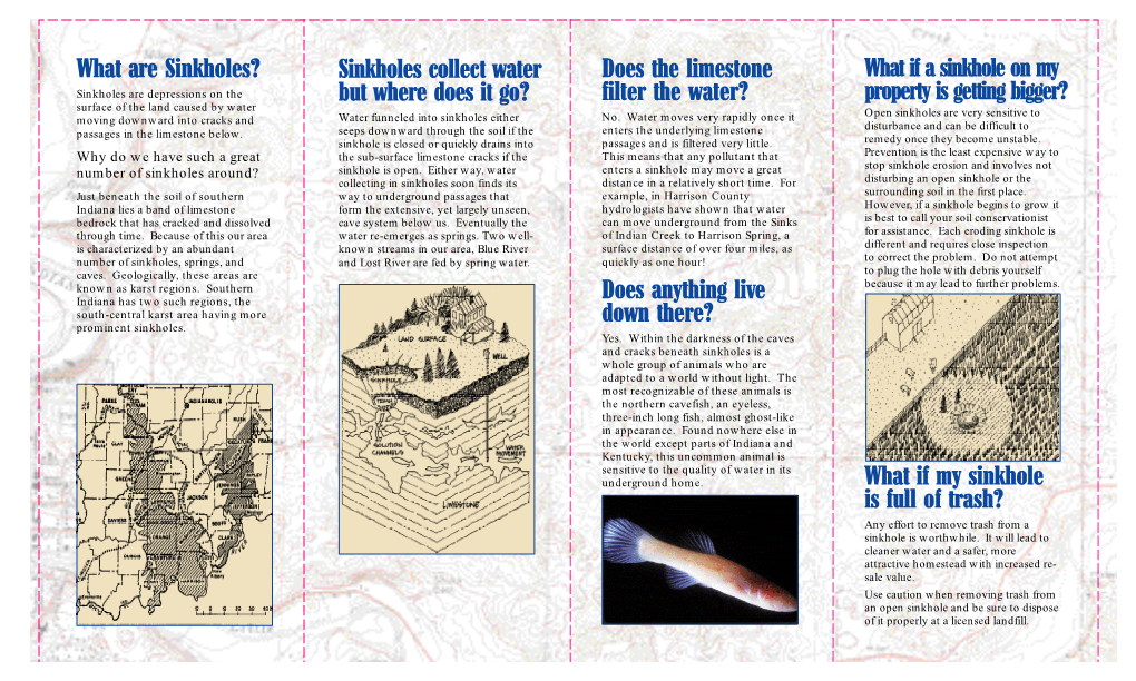 What Are Sinkholes?