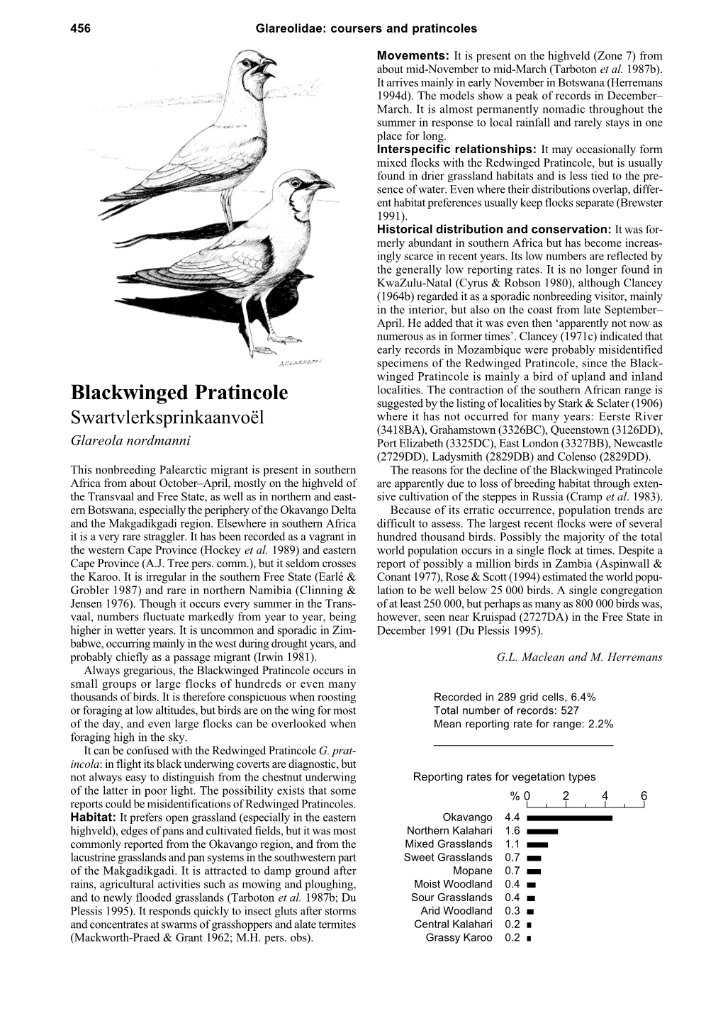 Blackwinged Pratincole